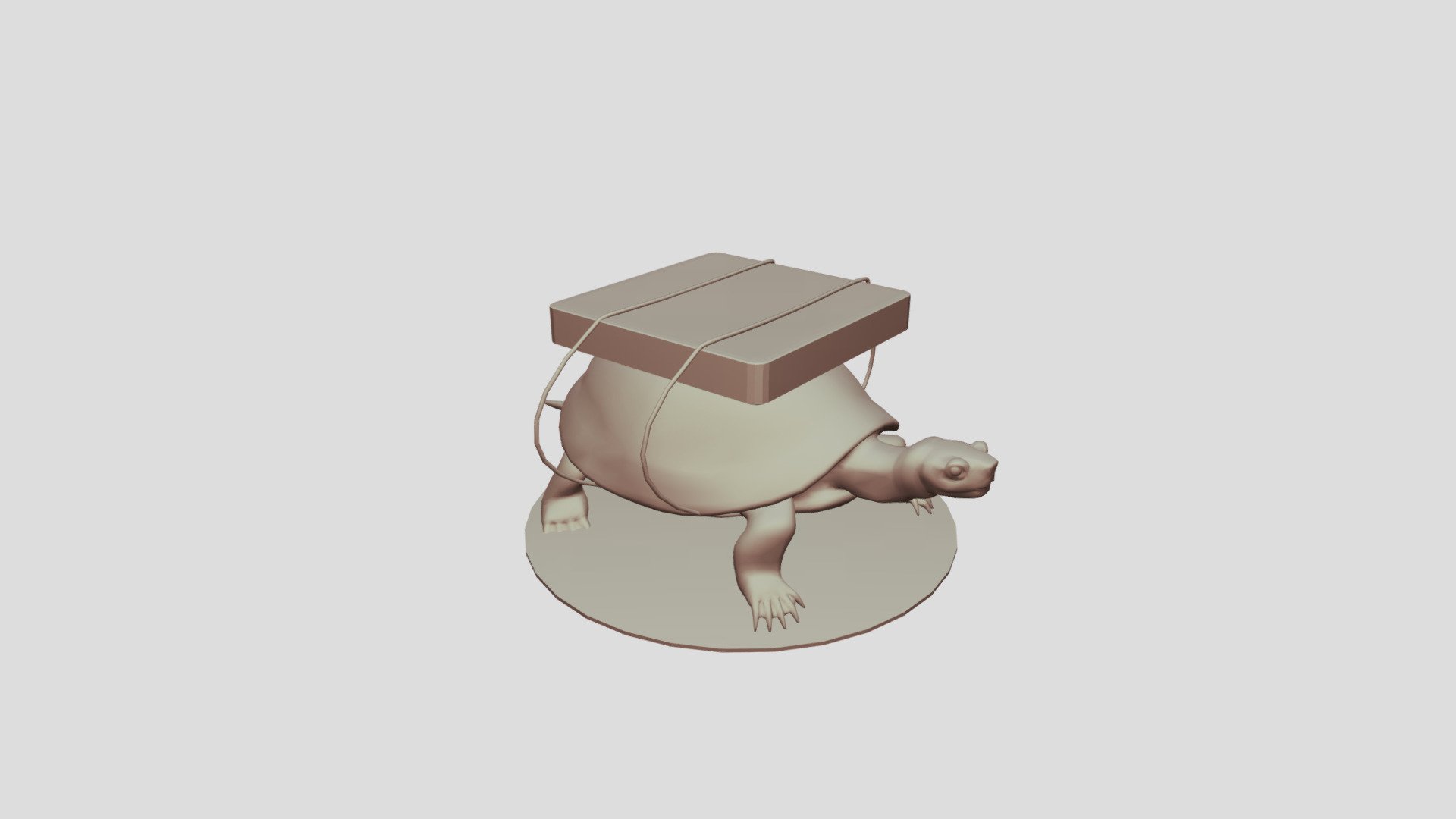 Turtle