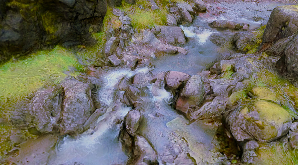 Spring Creek - Island