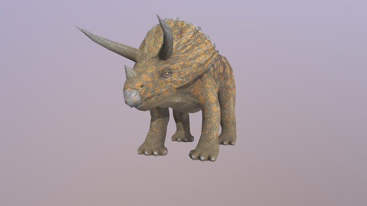 Triceratops