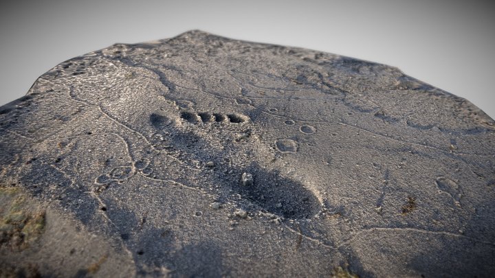 Footprint in the Sand 3D Model