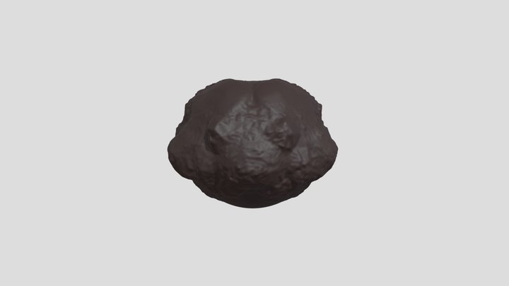 My model 3D Model