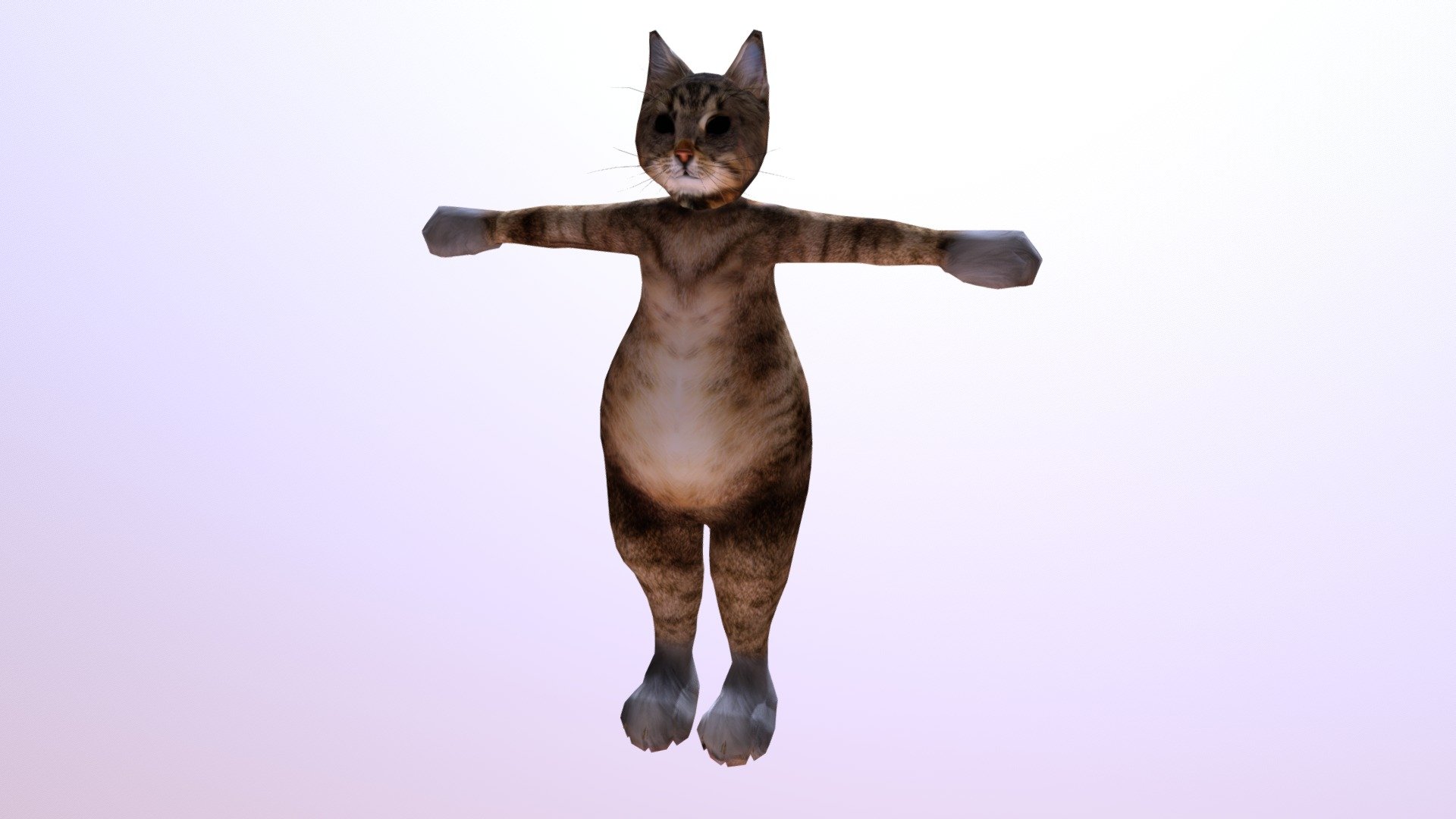Kitty Suit