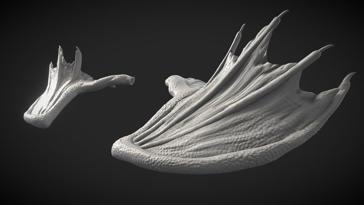 Dragon Wings 3D Model