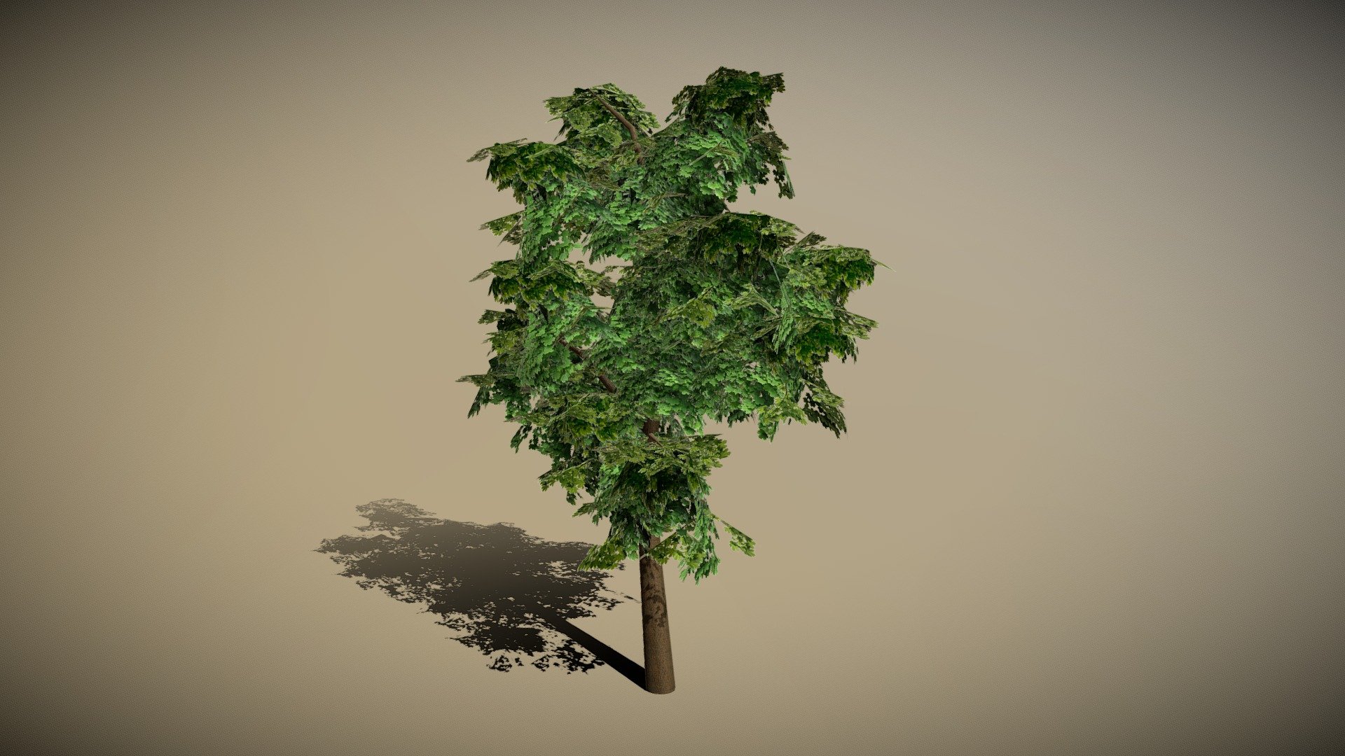 Tree - Download Free 3D model by Ashkelon (@Ashkelon) [d365d69] - Sketchfab