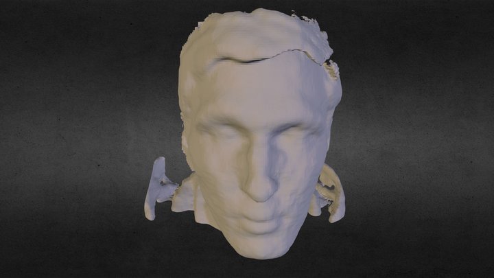 ScannerRostoSaymonSDK 3D Model