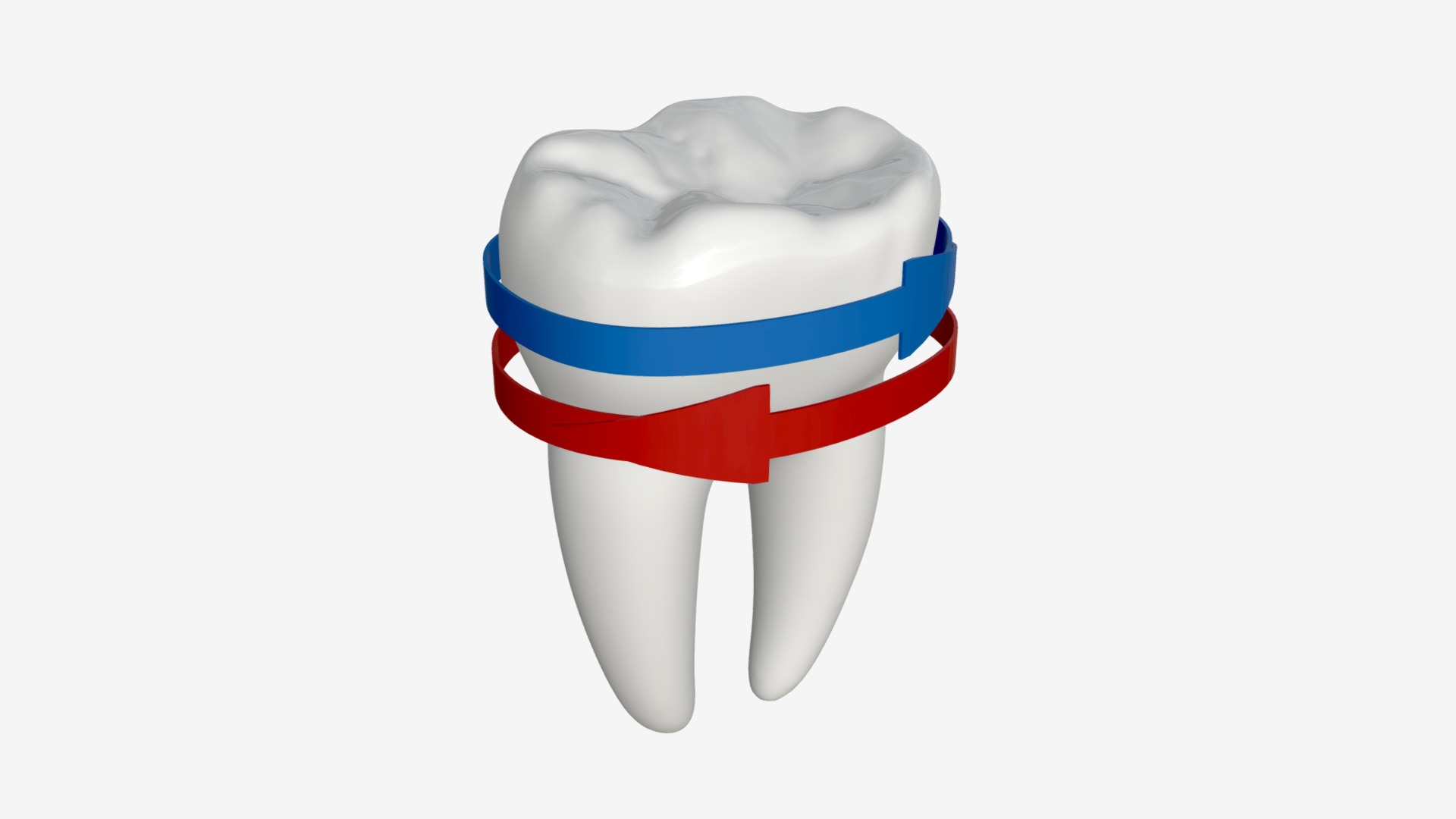3D model Tooth molars with arrows 02 - This is a 3D model of the Tooth molars with arrows 02. The 3D model is about chart.