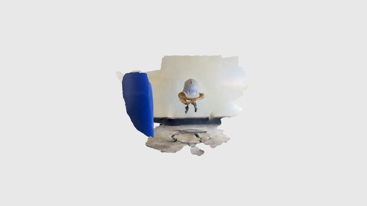 Cap 3D Model