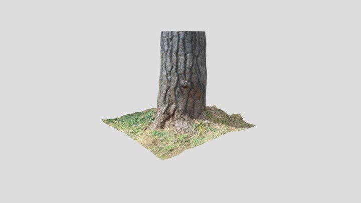 Tree bark 3D Model