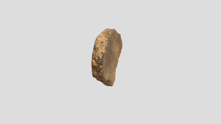 Осколок вазы 3D Model