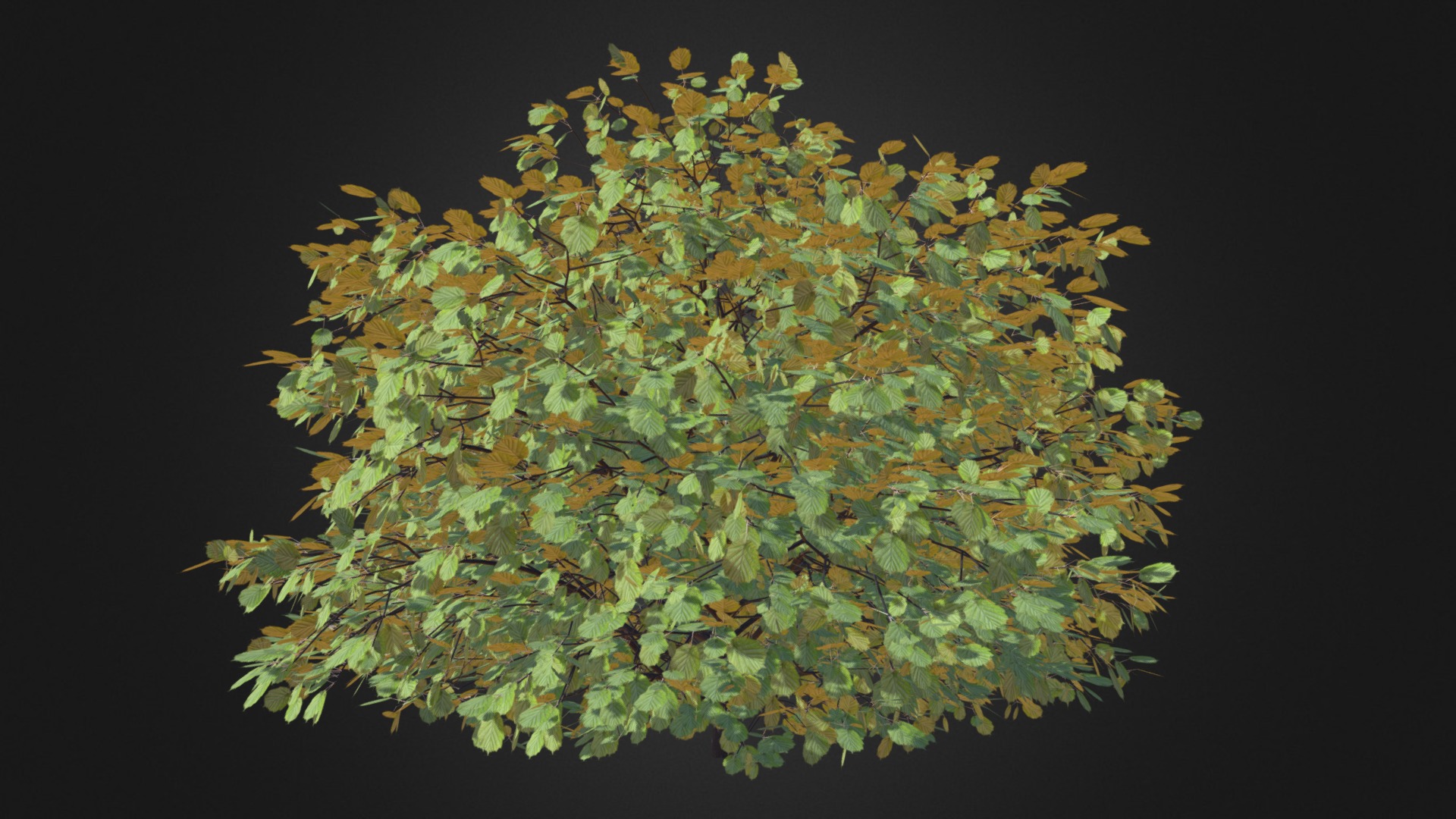 3D model Common Hazel - This is a 3D model of the Common Hazel. The 3D model is about a tree with green leaves.