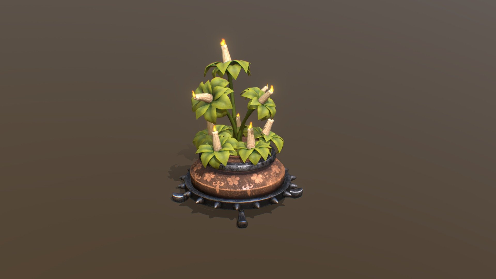 Candle Plant
