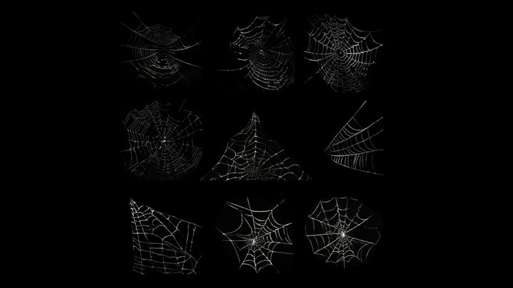 133,332 Spiderweb Images, Stock Photos, 3D objects, & Vectors