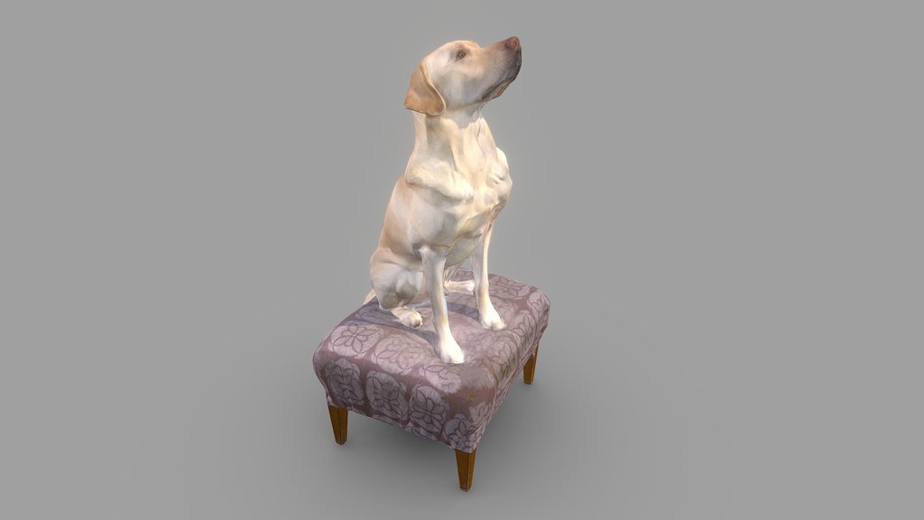 Wilson Dog Color 3D Scan