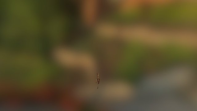 Teleported Dog 3D Model