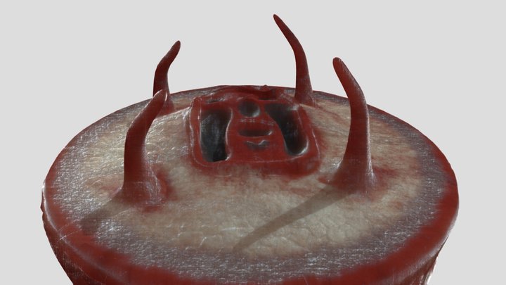 Book of Blood - MG 3D Model