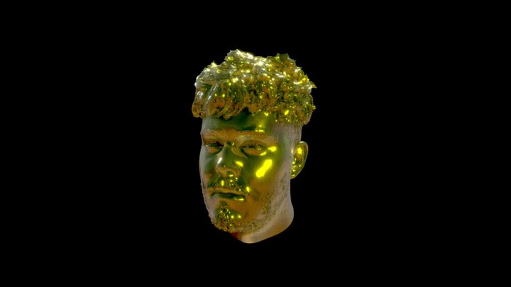 ' 3D Model