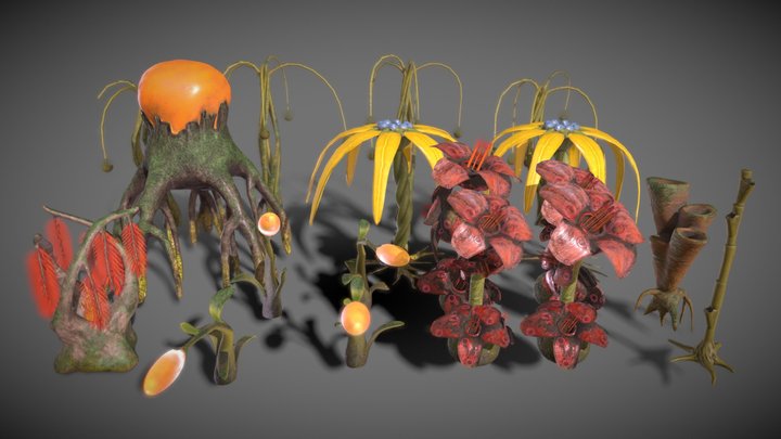 Projet Aaron - Plants 3D Model