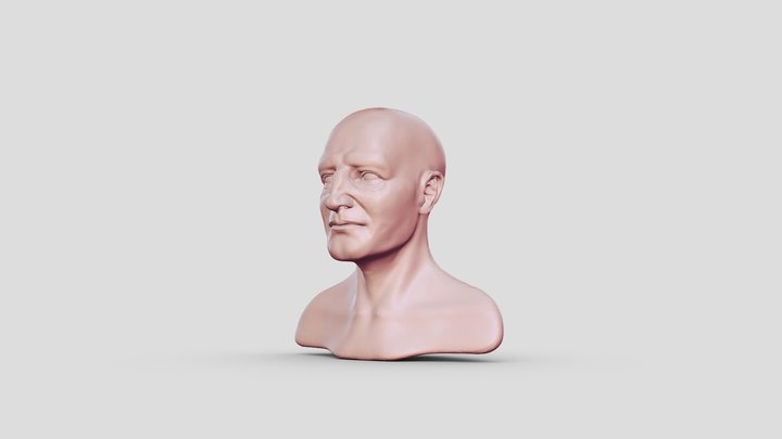 Human Face Sculpting Practice 3D Model