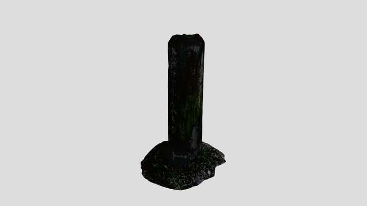 Wood Stump Outdoors Photoscan – Free 3D Model STL