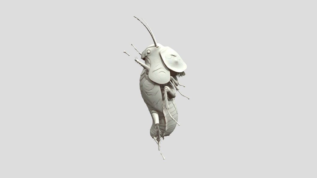 White Insect 3d Model