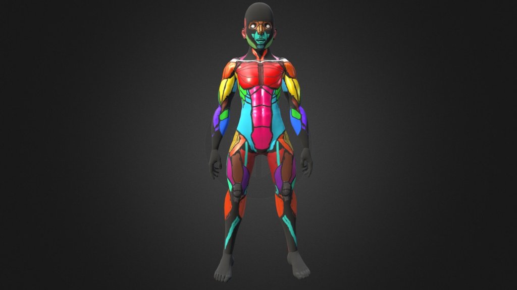 Muscle Landmarks