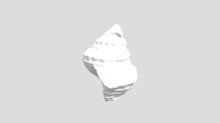 shell 3D Model