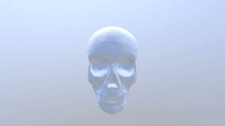 Cranio_scultura 3D Model