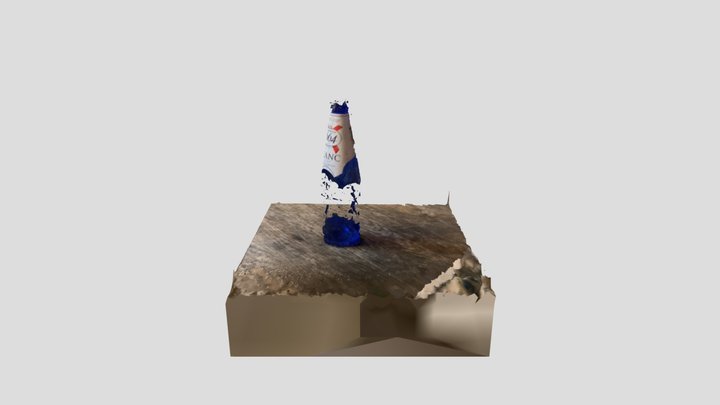 Scan 2023-05-29T18:42:23.882Z 3D Model