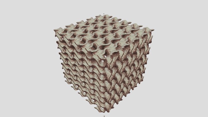 Gyroid TPMS Lattice Cube | 50mm (30% RD)