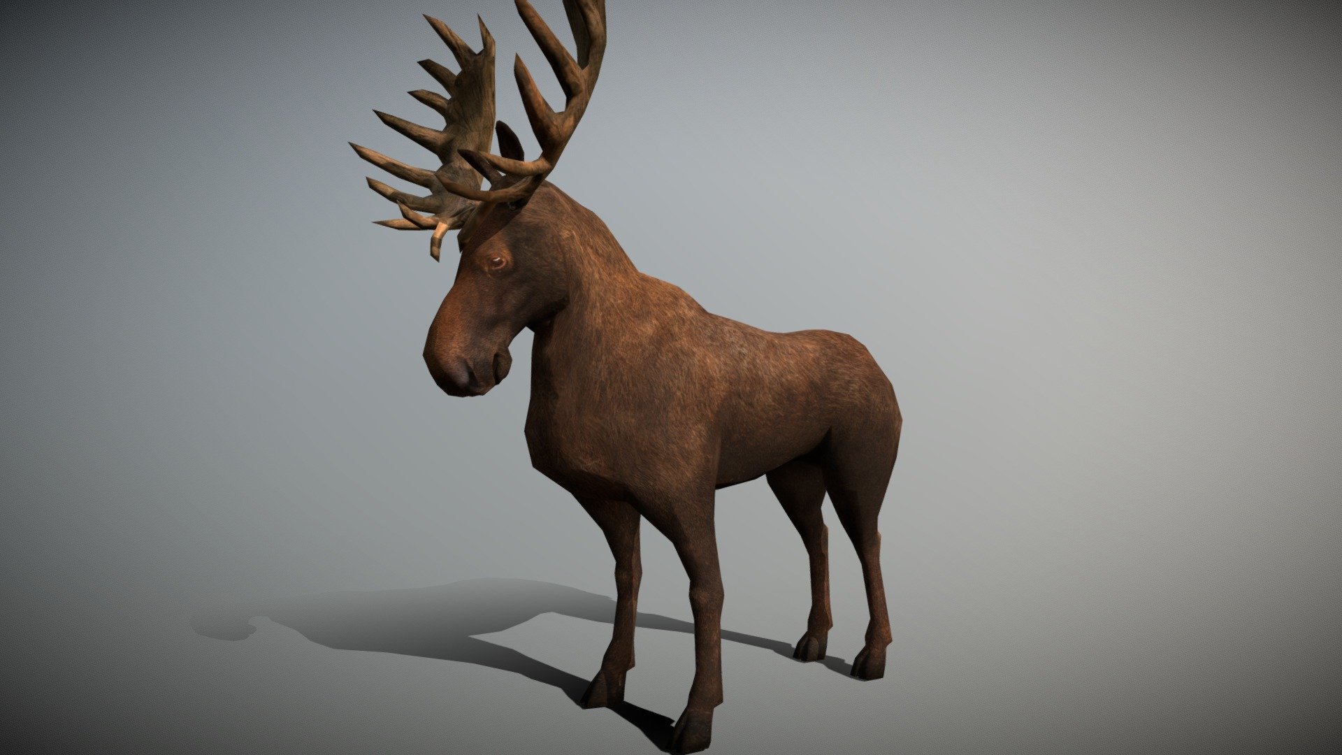 Wild animals - Moose - Buy Royalty Free 3D model by 3DRT.com [d3a4eb4 ...