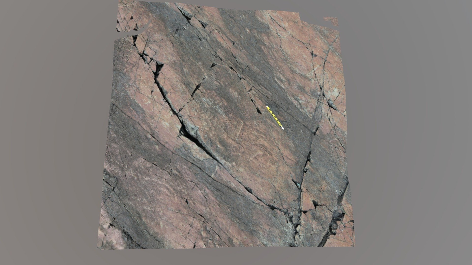 Ediacara fossils at Mistaken Point