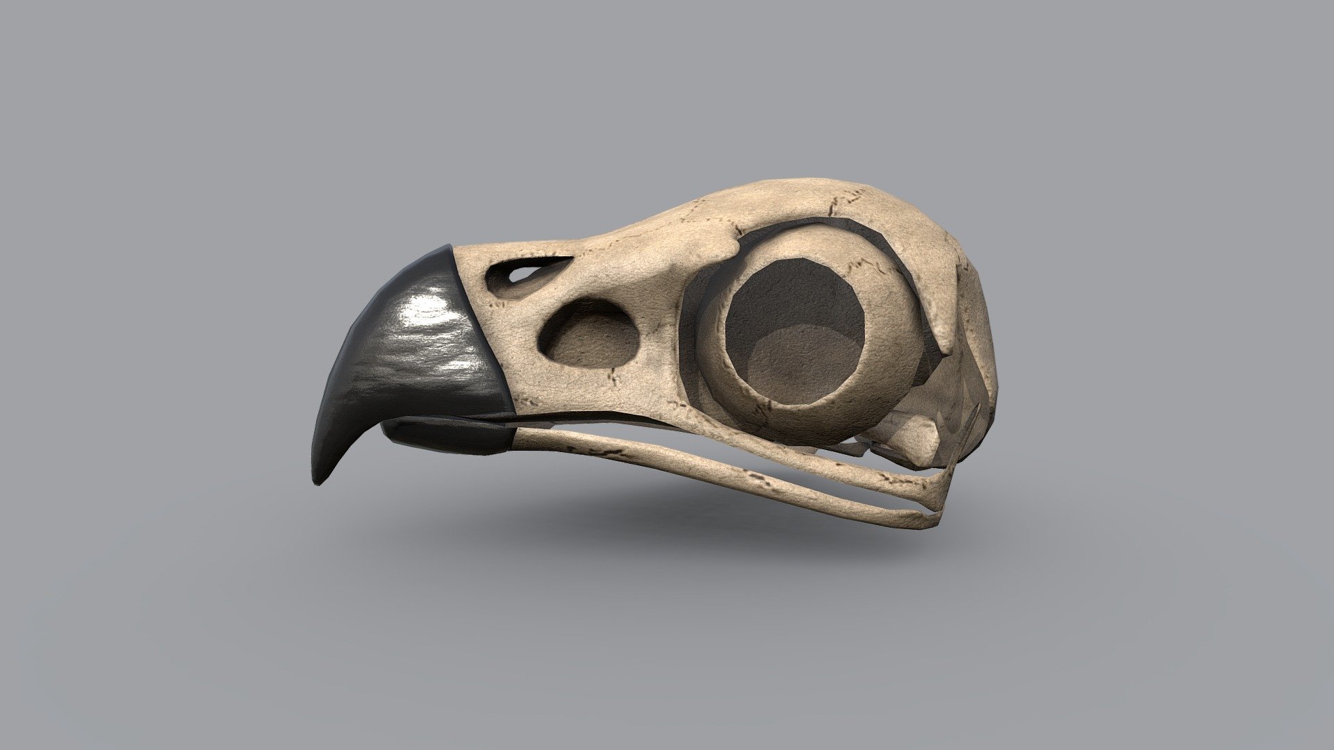 Low poly eagle skull