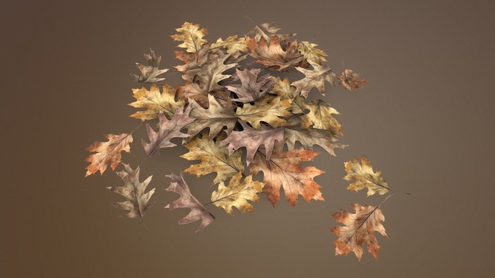 Dead autumn leaves 3D Model
