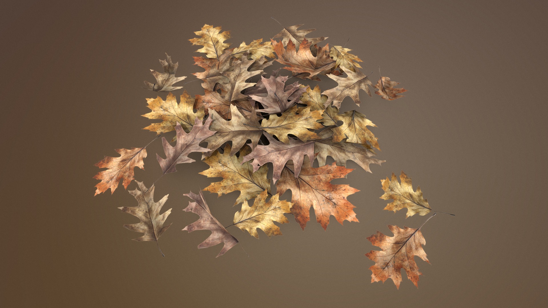 3D model Dead autumn leaves - This is a 3D model of the Dead autumn leaves. The 3D model is about a group of leaves.