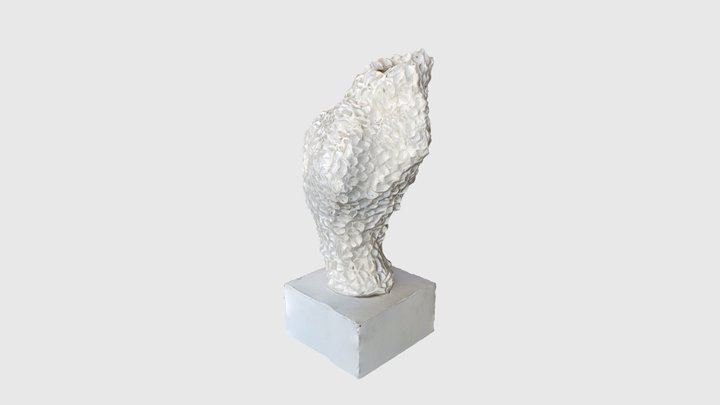 Corallium 3D Model