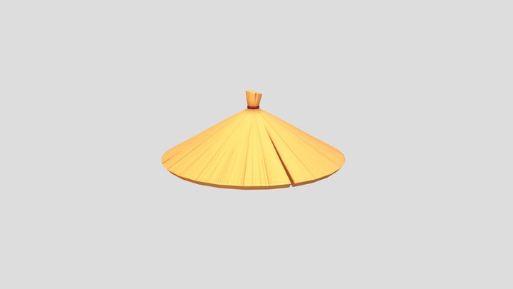 Chinese Conical Hat 3D Model