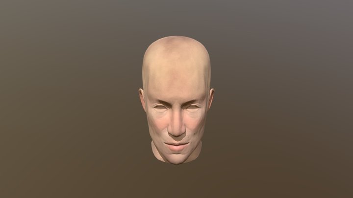 finished yonni head mesh 3D Model