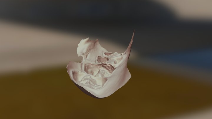 Preparation 3D Model