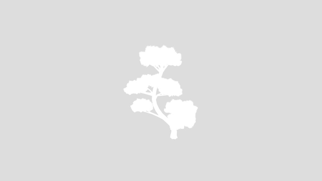 Stylized Pine Tree