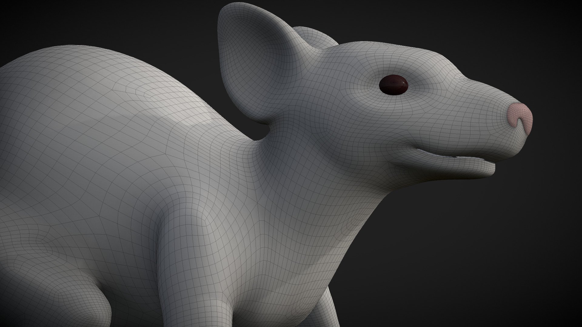 Rat