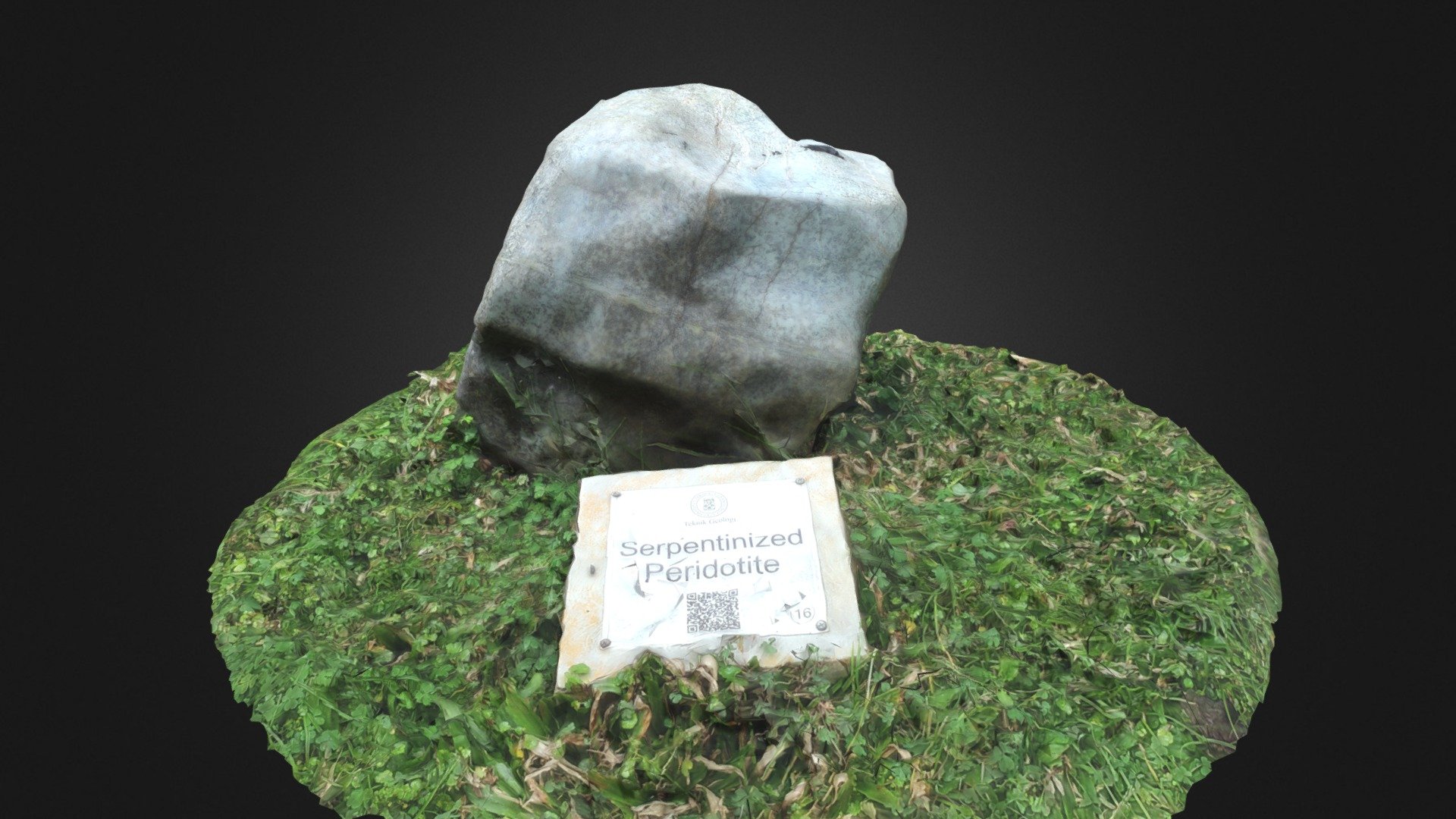 Serpentinized Peridotite