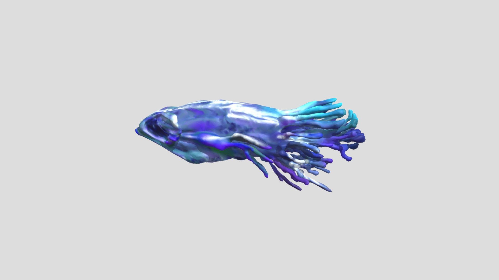 Moon Fish - 3D model by racheljungeun [d3ba238] - Sketchfab
