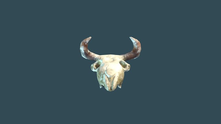 Taurus Skull 3D Model