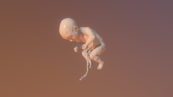 Baby 3D Model