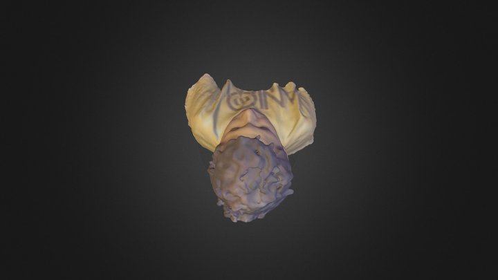 Ross Al- Ghul 3D Model