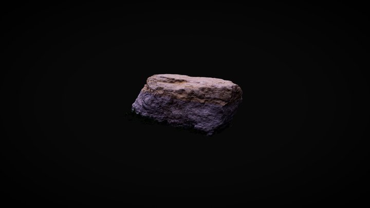 Rock in the park (Photogrammetry Scan) 3D Model