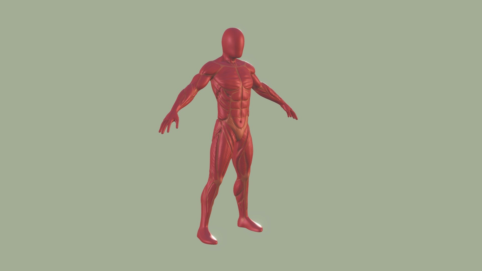 2284_Zararsiz_Dalila_Anatomie