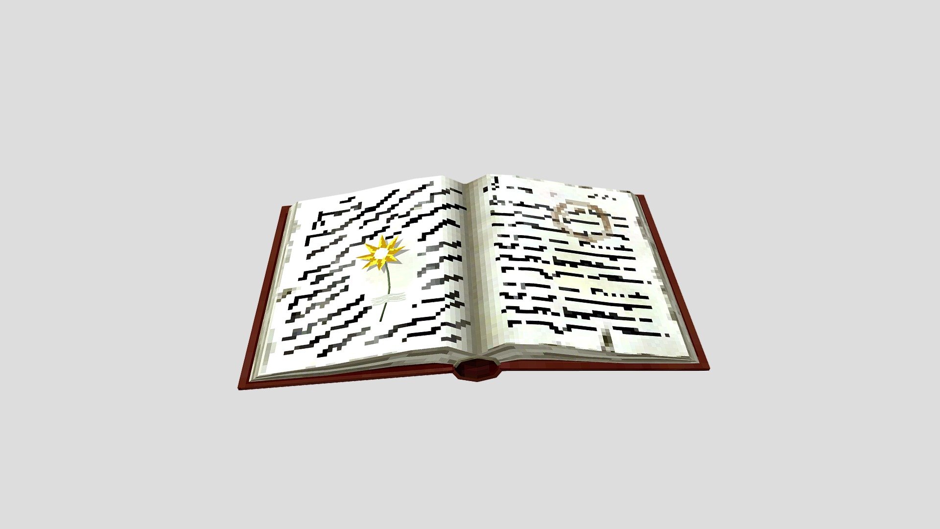 Vintage Book