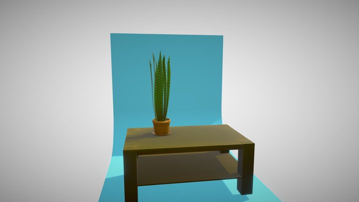 Plant on my Table 3D Model