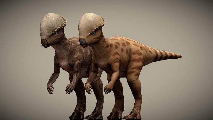 JW: PO Tylocephale – Free 3D Model STL